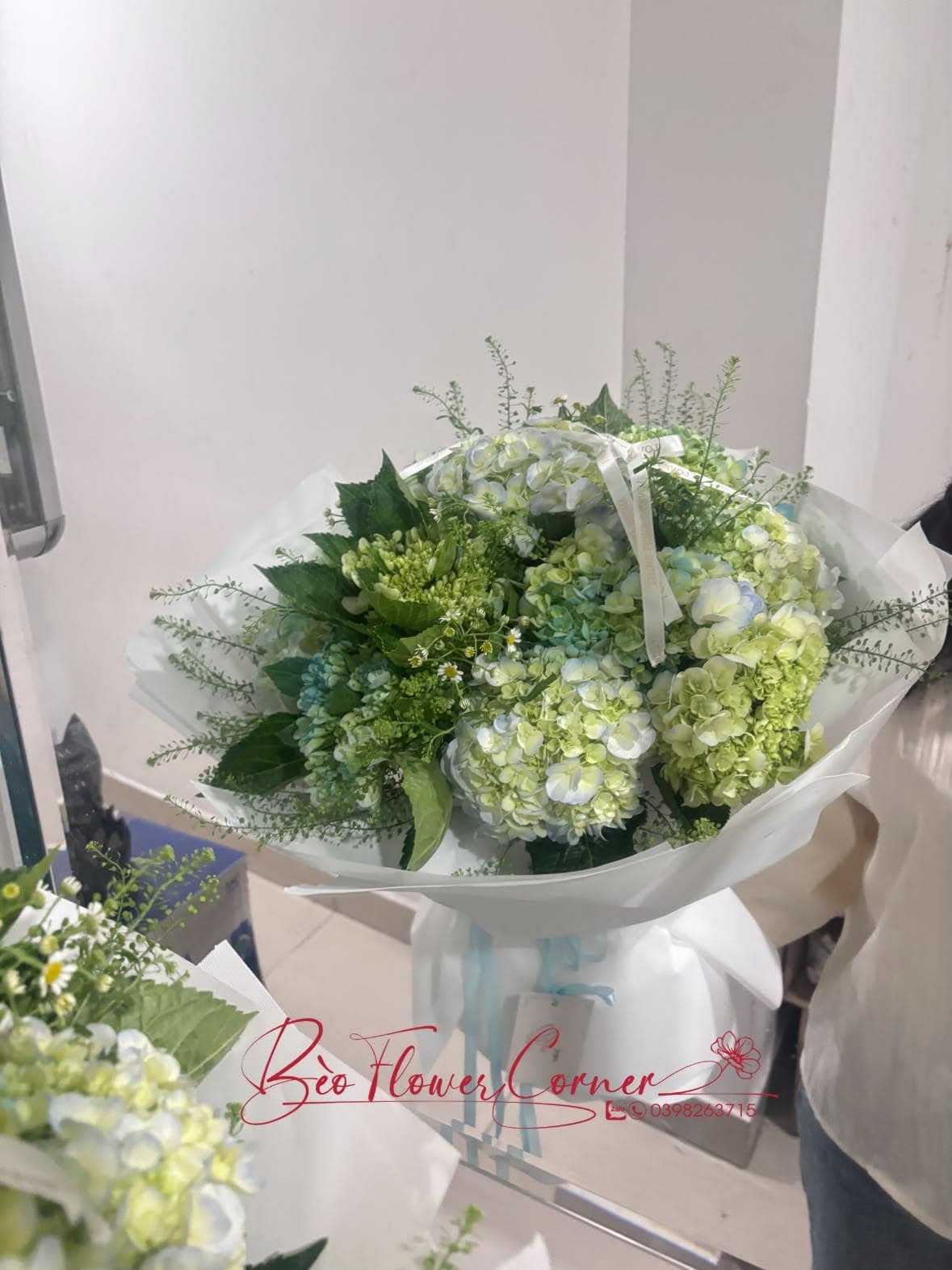 TÚ CẦU XANH LÁ 💚