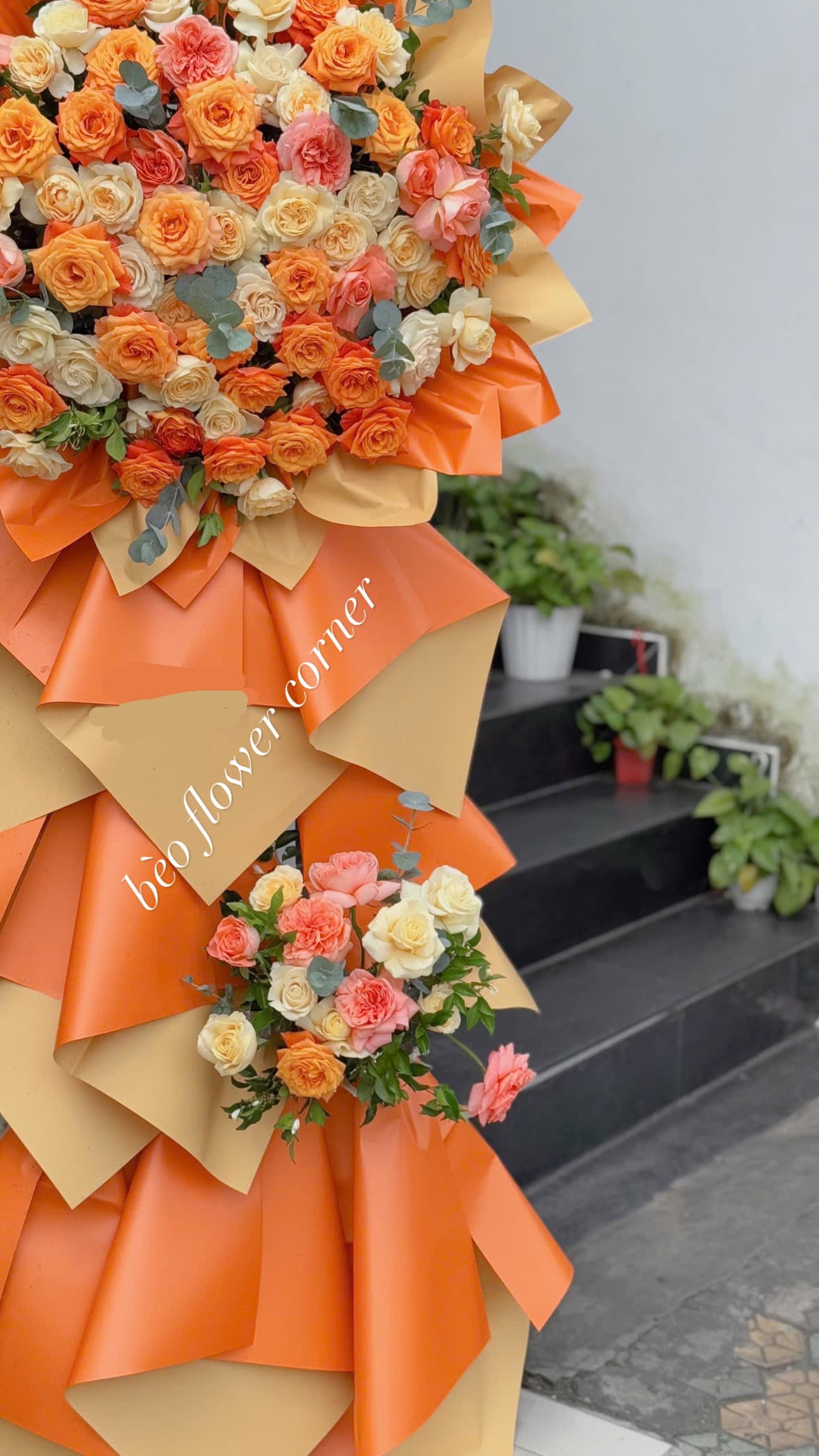 kệ khai trương truyền thống 